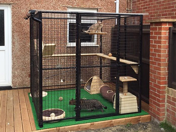Cat Boarding With Outdoor Play Area 78