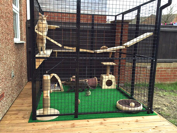 Cat Boarding With Outdoor Play Area 95