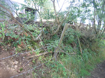 gabion