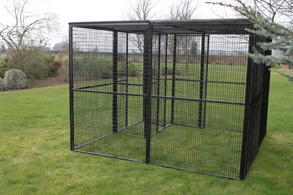Metal Aviary 4ft x 4ft x 6ft high