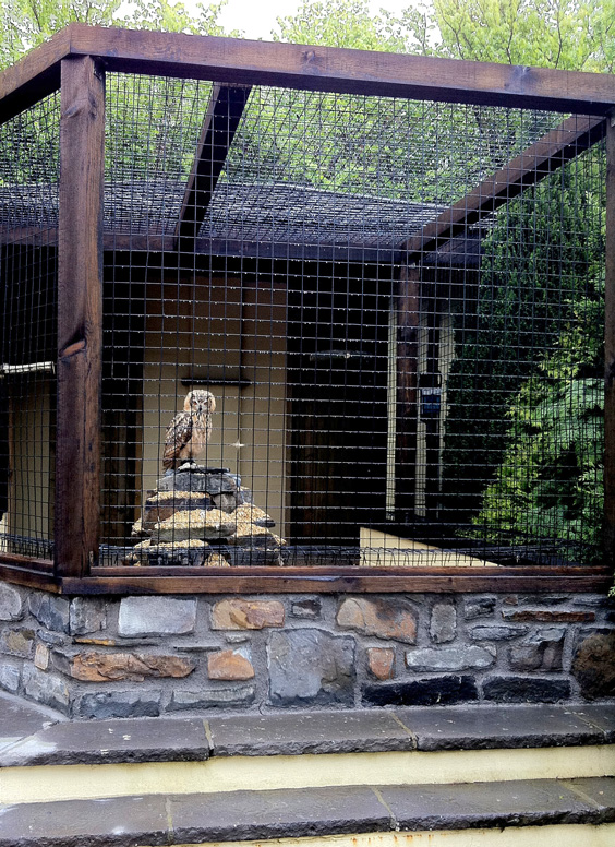 owl aviary