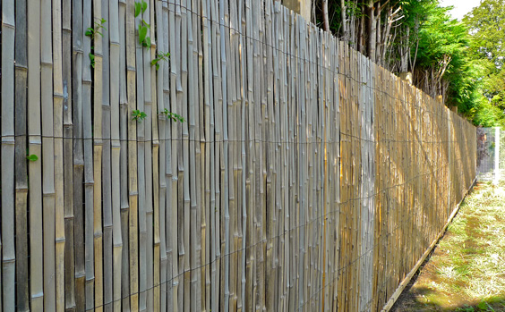 wire mesh fencing with bamboo