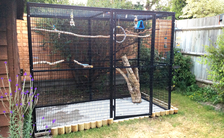 bird play pen