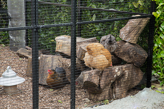 Animal cages large outdoor e