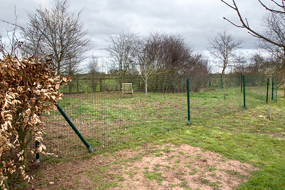 free-ranging-chicken-fencing