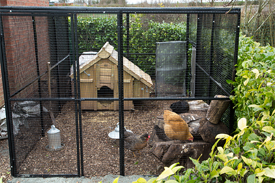 Welded Wire Mesh 1"x1" Galvanised Fence Aviary Rabbit Hutch Chicken Run Coop Pet 