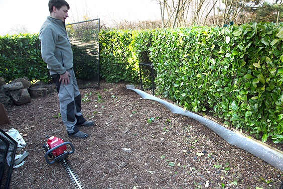 rat-proofing-chicken-run