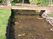 gabion-wall-at-end-of-stream