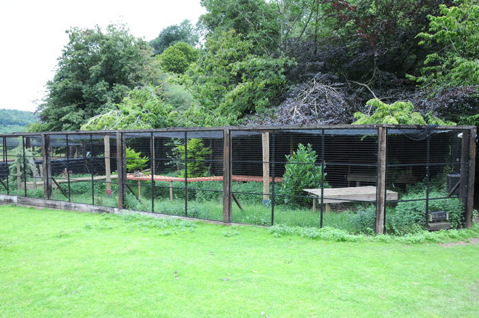 zoo lemur enclosure