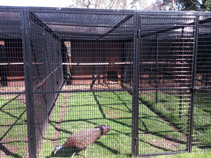 Metal Sheets for Cages at Zoo