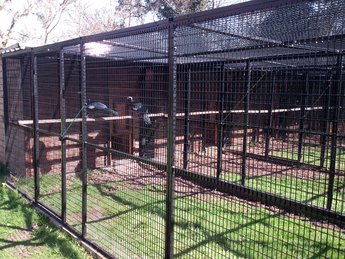 Cages for Birds in Zoo