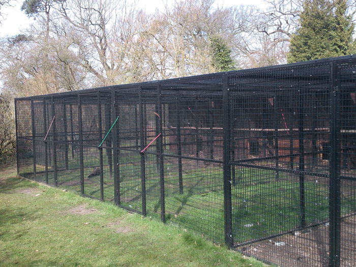 Joint together cages for animals