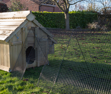 chicken-run-panels