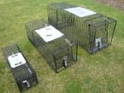 Rabbit Traps For Sale