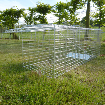Mosquito net for rabbit sales cage