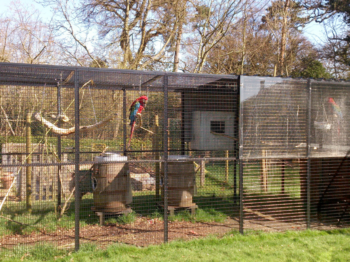 Cage for Parrot