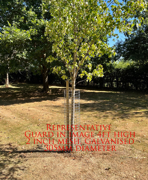 2 inch mesh galvanized tree guards 5ft x 12inches