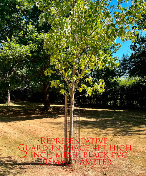 Blck pvc mesh tree guardss 48 inches x 18 inches